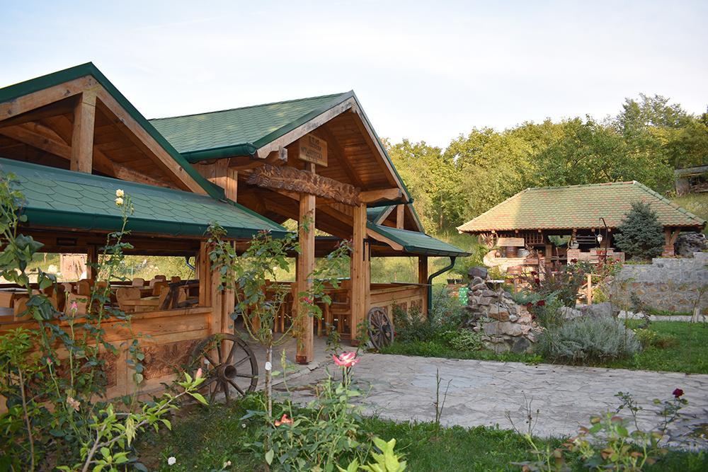 Fruskogorska Terasa Apartment โนวีซาด ภายนอก รูปภาพ