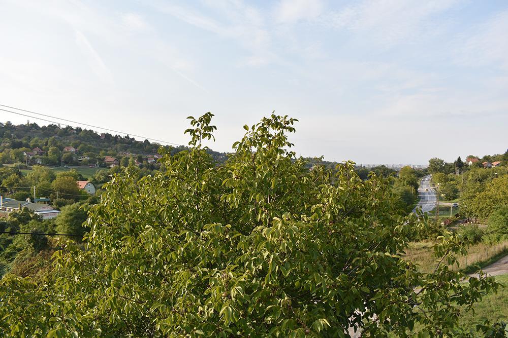 Fruskogorska Terasa Apartment โนวีซาด ภายนอก รูปภาพ
