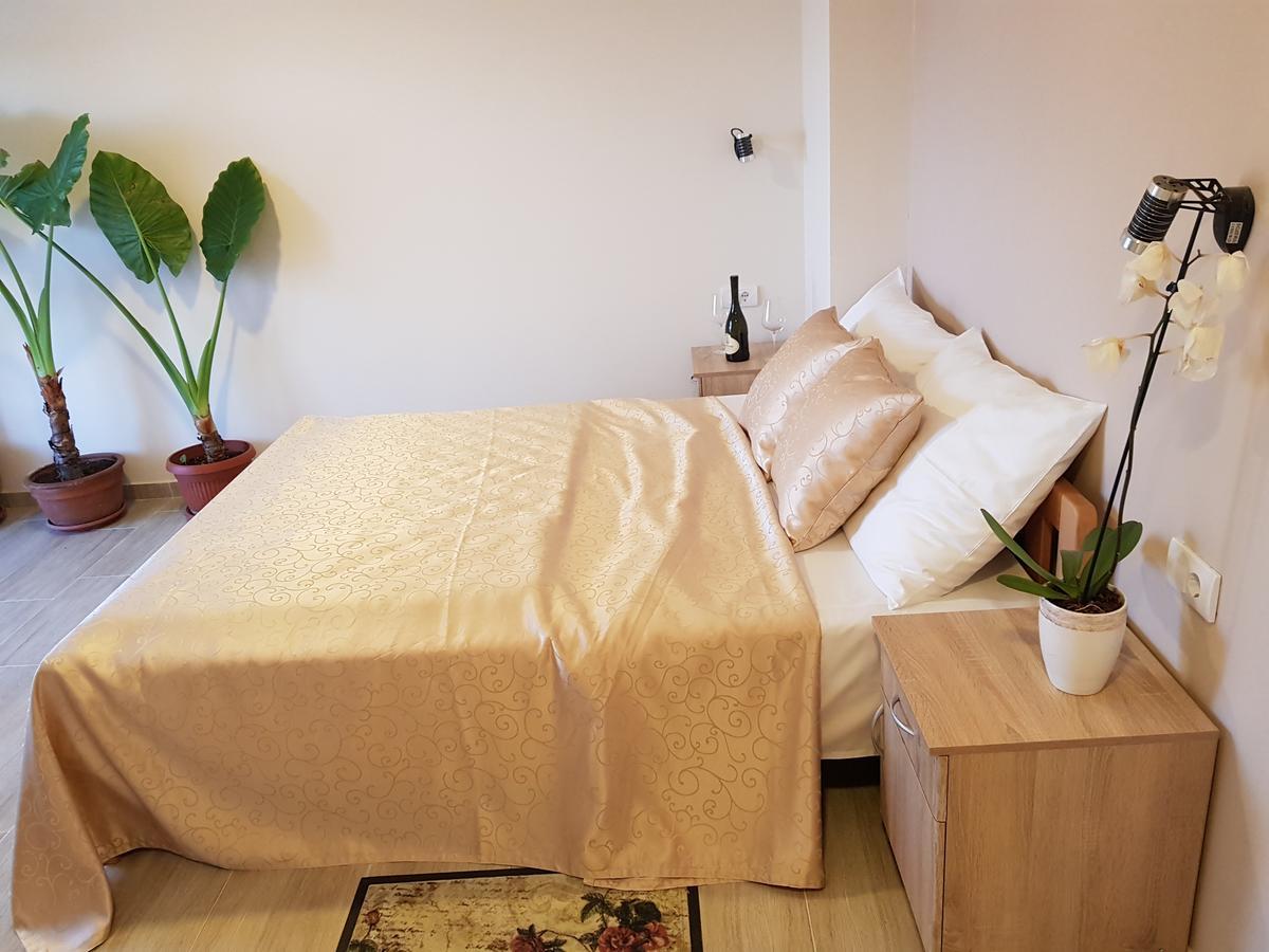 Fruskogorska Terasa Apartment โนวีซาด ภายนอก รูปภาพ