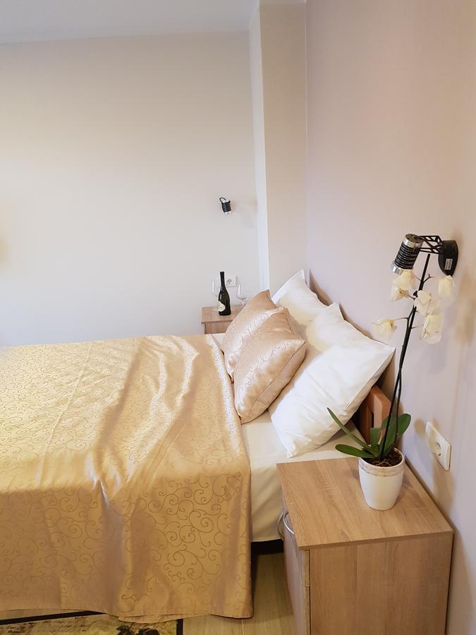 Fruskogorska Terasa Apartment โนวีซาด ภายนอก รูปภาพ
